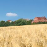 FRANKEN BRÄU Brauerei mit Gerste – <a href="/wp-content/uploads/brauerei_mit_gerste_wallpaper.jpg" download> Download </a>